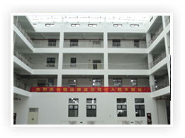 中國微波通信領域的領軍者 打造全球頂尖的微波產品與通信設備供應商